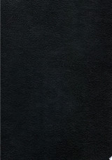 Berserk Deluxe Volume 13