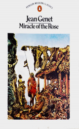 Miracle of the Rose