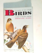Birds A guide to the most familiar American birds