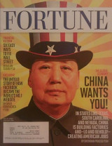 Fortune Magazine May 24, 2010 - China Wants You!