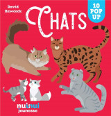 Pop-up Chats