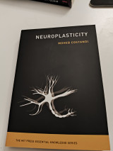 Neuroplasticity