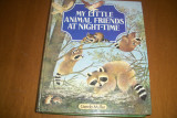 My little animal friends at night time