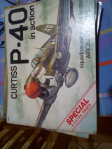 Curtiss P-40 in Action