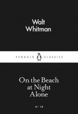 On the Beach at Night Alone