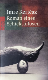Roman eines Schicksallosen