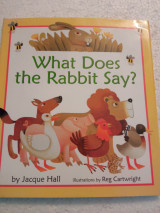 What does the rabbit say