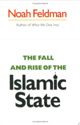 The Fall and Rise of the Islamic State