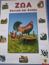 Ζώα Σπιτιού και Αυλής