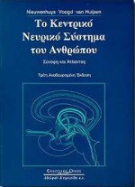 Το κεντρικό νευρικό σύστημα του ανθρώπου