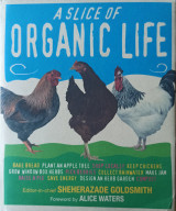 A Slice of Organic Life