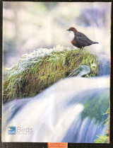 Birds Volume 23 No 4. Wild goose winter. Raise a glass to black grouse. The nature of farming