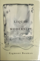 Liquid Modernity