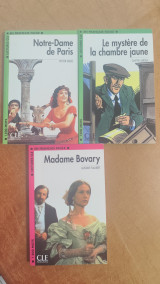 Madame Bovary/ Notre -Dame de Paris / le mystère de la chambre jaune (3 βιβλία )