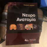 Νευροανατομία