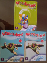 Wonderland in one year