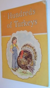 Hundreds of turkeys