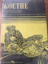 Goethe. A Collection of Critical Essays. Edited by Victor Lange