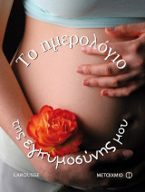 Το ημερολόγιο της εγκυμοσύνης μου