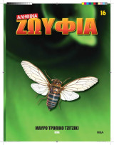 Αληθινά Ζωύφια - Τευχος 16 Μαύρο Τροπικό Τζιτζίκι