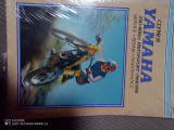 Yamaha 250-400cc piston port 1968-1976