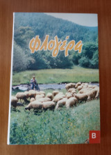 Φλογέρα Β