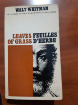 Leaves of grass Feuilles d'herbe