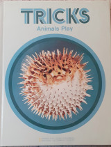 Tricks Animals Play