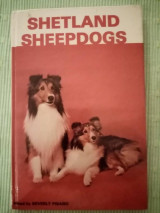 Shetland Sheepdogs