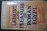 Leisure and Pleasure in Roman Egypt