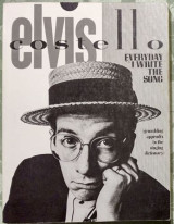 Everyday I Write the Song