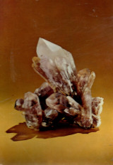 Κάρτα - Smithsonian Institution - 1969 - U.S.A.