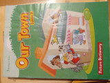 Our town junior a picture dictionary