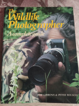 The Wildlife Photographer