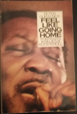 Feel like going home (Portraits in blues & rock n' roll)