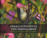 Ανακαλύπτοντας την Πικροδάφνη: Μία περιήγηση στη φύση του ρέματος της Πικροδάφνης