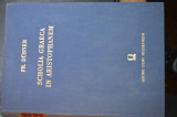 Scholia graeca in aristophanem