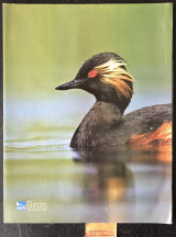 Birds Volume 22 No 8. Our letter to the future. The return of the native. Eco-heroes. Spirit level.