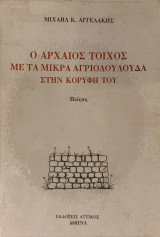 Ο αρχαιος τοίχος με τα μικρα αγριολουλουδα στην κορυφή του