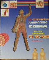 Το ανθρώπινο σώμα μέσα απο διαφάνιες