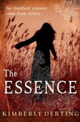 The essence