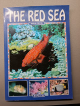 The Red Sea