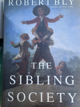 Sibling Society