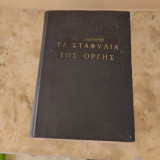 Τα σταφύλια της οργής