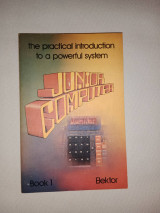 The Practical Introduction To A Powerful Computer System: Junior Computer - Book 1