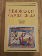Membrane in cancer cells