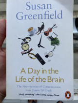 A Day in the Life of the Brain: The Neuroscience of Consciousness from Dawn till Dusk