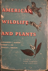 American Wildlife & Plants