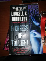 A Caress of Twilight