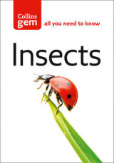 Insects Insects
